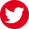 twitter-icon