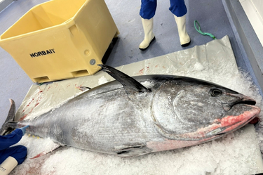 img_0800b41de5cf3b91011bf639af