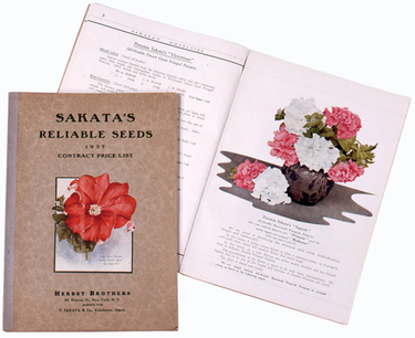 品質第一の〝タネ〟 戦前からのグローバル企業の開発力 サカタのタネ