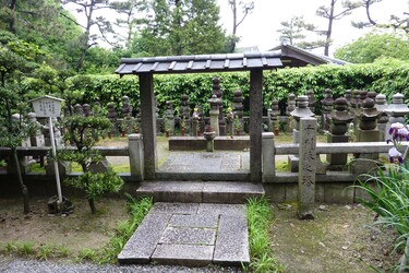 千利休の豊臣秀吉をかついだマネーの野望と死への道 茶道マネーの