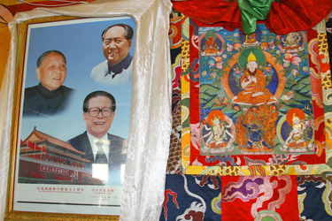 72歳の習近平が高山病による命の危険を負ってまでチベット自治区60周年