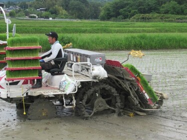 三重の先駆者たちが見せる新たな「農家さん」の姿 Wedge ONLINE