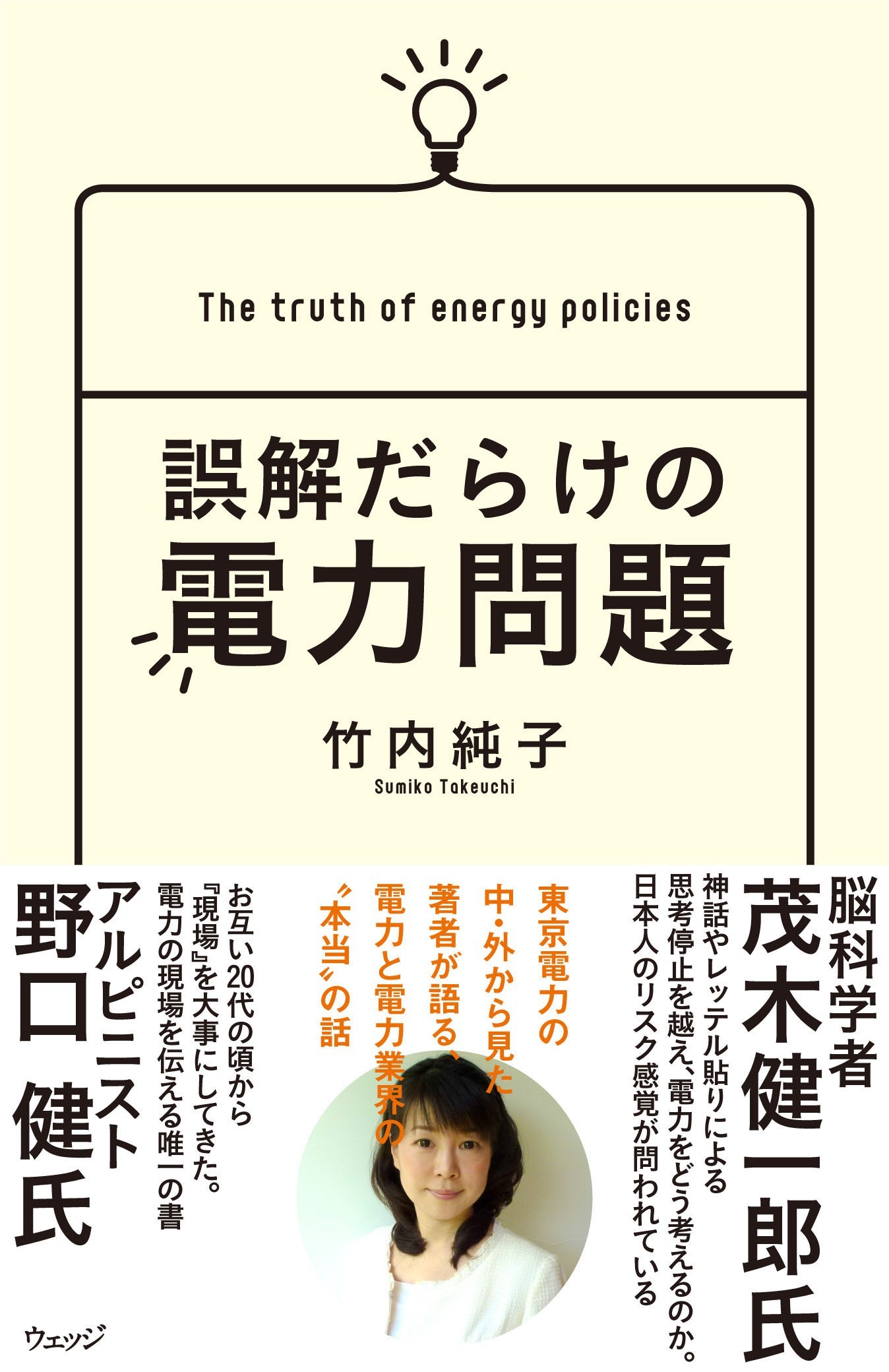 誤解だらけの電力問題 - ウェッジブックス -