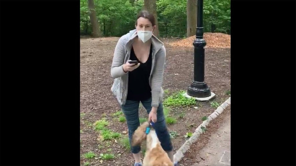 犬をつなぐよう黒人男性に言われた女性 通報して解雇 米ny Wedge Infinity ウェッジ