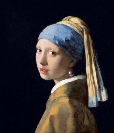 アルベルベロ 青い耳飾りの女 異素材切替ゆったりプルオーバー絵画シリーズ img_bae68663f6785f6dfd4dc9959f